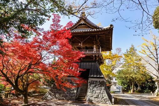 安勝寺　鐘楼と紅葉 寂静山安勝寺,安勝寺,浄土真宗の写真素材