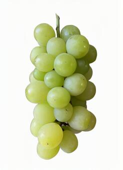 マスカ・サーティーン　縦　屋外撮影 マスカサーティン,ブドウ,丸ごとの写真素材