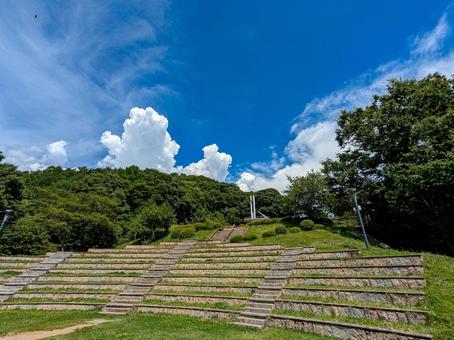 立石公園 立石公園,夏,公園の写真素材