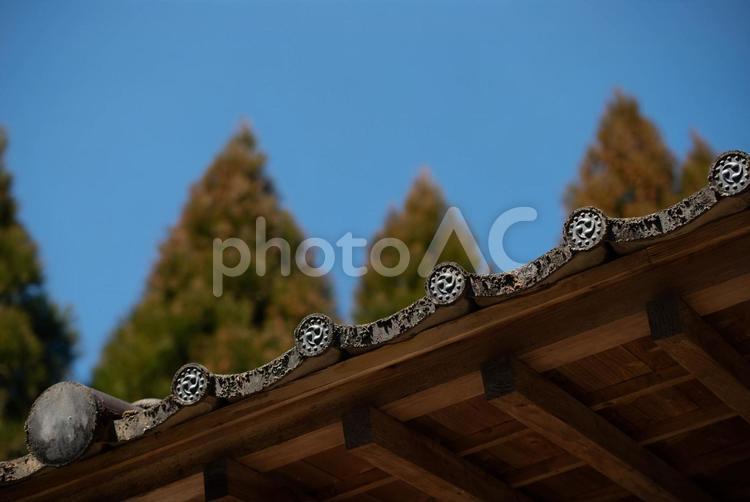 宇佐市（安心院町）　矢崎天満神社 天満神社,神社,日本の写真素材