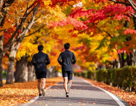 紅葉の並木道をジョギングする後ろ姿 紅葉の並木道をジョギングする後ろ姿の写真