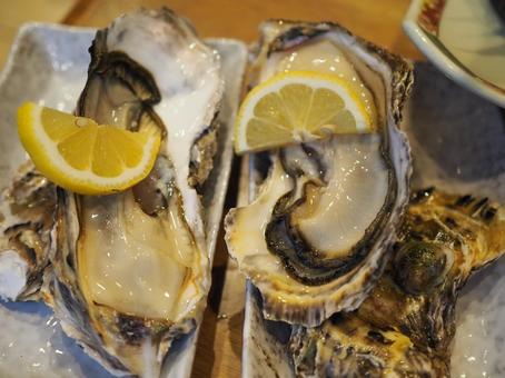 生牡蠣 生牡蠣 牡蠣,生牡蠣,海鮮の写真素材