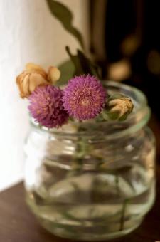 花のある生活 花のある生活の写真