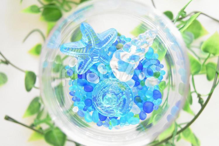 涼しげなグラス５ 夏,サマー,ガラスの写真素材
