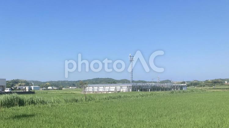 初夏の風景 風景,田んぼ,ビニールハウスの写真素材