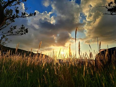 秋の夕暮れの風景　名瀬 秋,風景,景色の写真素材