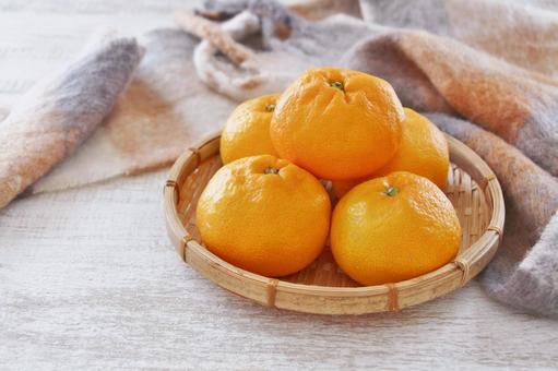 みかん みかん,果物,フルーツの写真素材