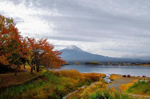 秋の富士 秋,紅葉,河口湖の写真素材