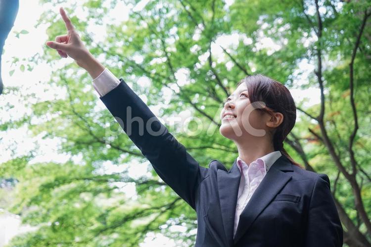 屋外で指をさすビジネスウーマン 若い,フレッシュマン,広告の写真素材