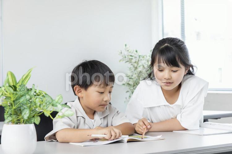  弟に勉強を教えるお姉ちゃん 塾,学習塾,習い事の写真素材
