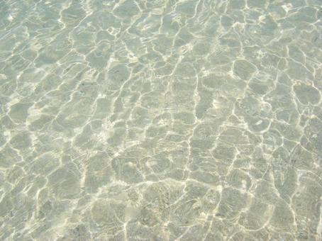 透明な海の水 透明,海,水の写真素材