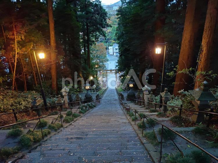 神社の階段 神社,鹽竈神社,塩釜の写真素材