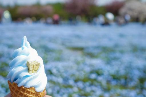 ネモフィラとソフトクリームのある風景 ネモフィラとソフトクリームのある風景の写真