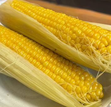 とうもろこし とうもろこし とうもろこし,トウモロコシ,8月の写真素材
