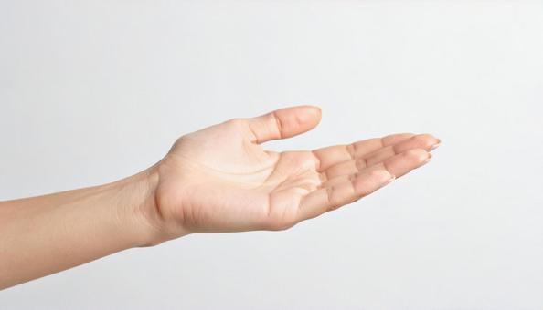手のひら 女性2 手のひら 女性2の写真
