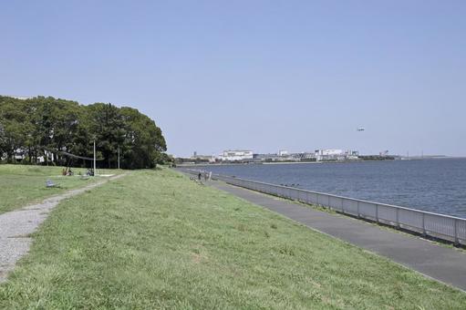 京浜つばさ公園 京浜つばさ公園 初夏,京浜島,京浜島つばさ公園の写真素材