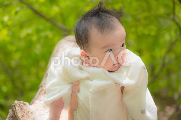 森と赤ちゃん(その１４) 赤ちゃん,日本人,キャンプの写真素材