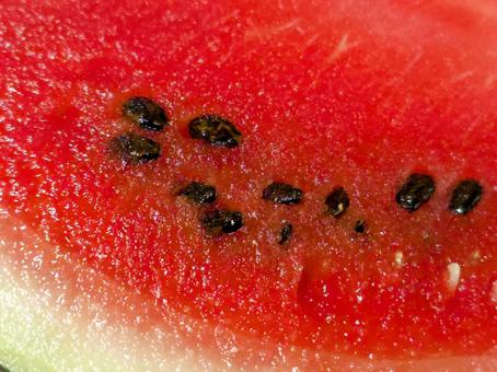 すいか スイカ,西瓜,みずみずしいの写真素材