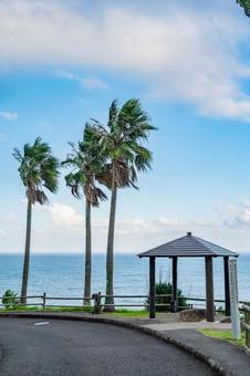 宮崎県　サンメッセ日南 サンメッセ日南,宮崎,日南の写真素材