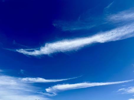 流れ流れて 流れ流れての写真