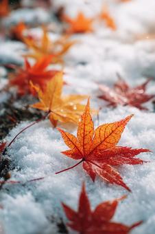 雪上の紅葉:秋と冬の美しい出会い 雪上の紅葉:秋と冬の美しい出会いの写真