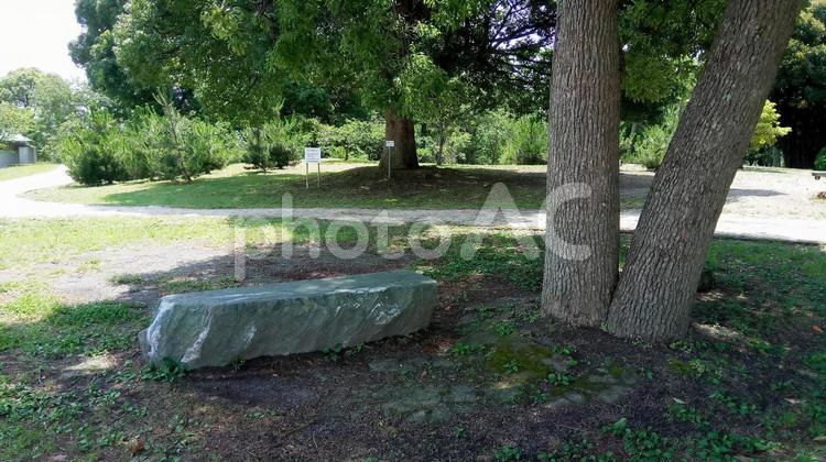ベンチ写真　木陰の石のベンチ ベンチ,石,石製の写真素材