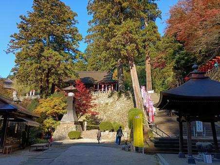 秋のお寺 秋,紅葉,晴れの写真素材