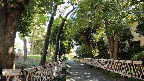 東京都墨田区横網１丁目　旧安田庭園を歩く 池泉回遊式庭園,リラックス,回遊式庭園の写真素材