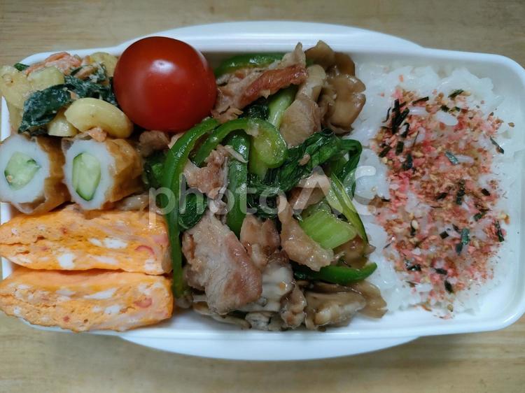 豚ピーマンチンゲンサイオイスター炒め弁当 お弁当,お昼ご飯,お昼の写真素材