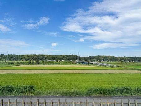 京成線車窓より 九月の佐倉市角来の田園 京成線車窓より 九月の佐倉市角来の田園 田圃,稲作,米作りの写真素材