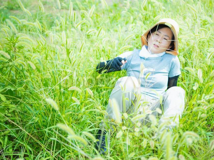 35：草むしりをする女性 屋外作業,草刈り,雑草の写真素材