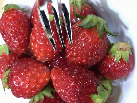 いちご いちごの写真