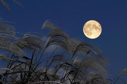 中秋の名月　秋のイメージ 月,十五夜,満月の写真素材