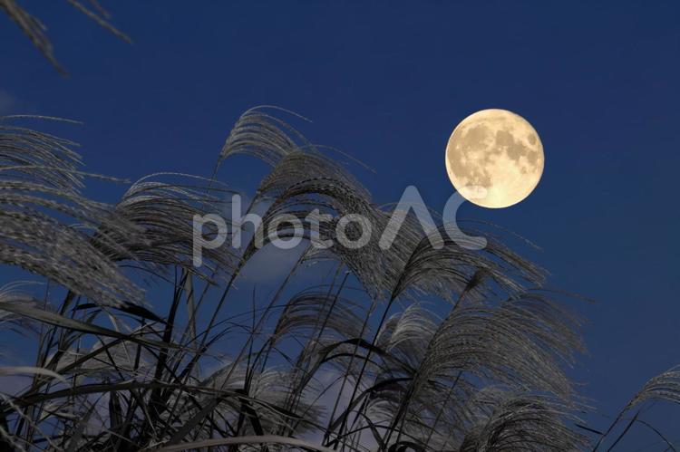 中秋の名月　秋のイメージ 月,十五夜,満月の写真素材