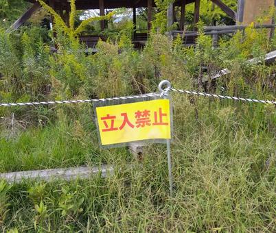 立入禁止 立入禁止 立入禁止,禁止,雑草の写真素材