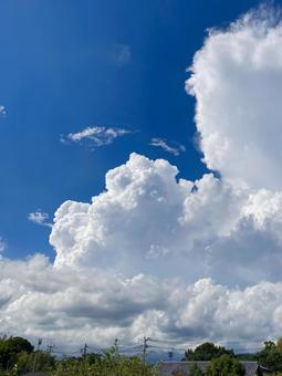 入道雲と青空(縦) 入道雲と青空(縦)の写真
