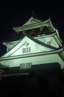 ライトアップされた岡崎城 ライトアップされた岡崎城の写真