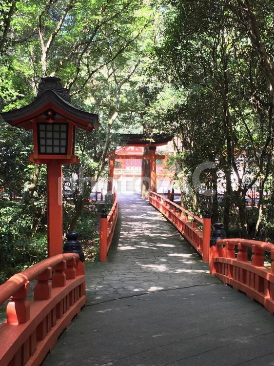 宇佐神宮 神社,日本,宇佐神宮の写真素材
