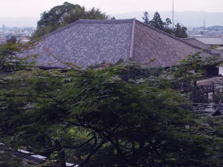 奈良県-當麻寺-国宝-本堂 奈良県-當麻寺-国宝-本堂 當麻寺,寺,二上山の写真素材