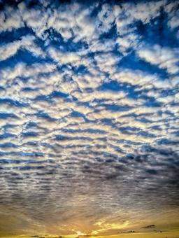 空のグラデーションに心を奪われる朝 空のグラデーションに心を奪われる朝の写真