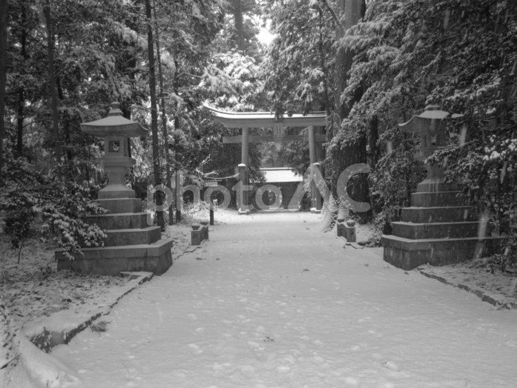 兵庫県-伊和神社-鳥居-白黒 伊和神社,神社,播磨の写真素材