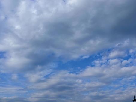 【風景写真】夏空 【風景写真】夏空の写真