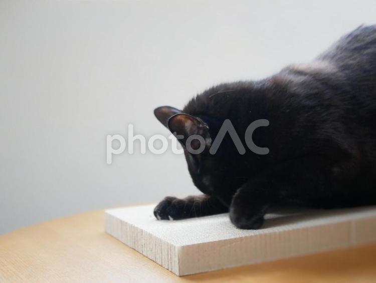 爪とぎをする猫 爪とぎ,つめとぎ,黒猫の写真素材