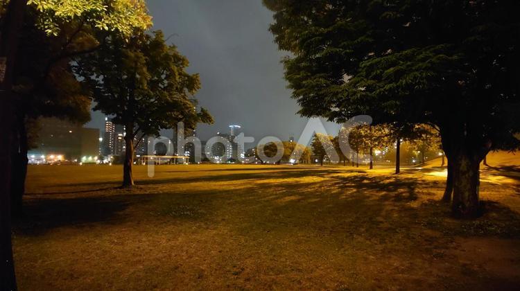 街頭に照らされる沢山の木がある公園 メルヘン,ライトアップ,勝山公園の写真素材