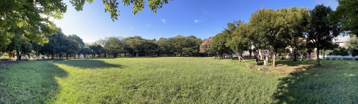 爽やかな青空と公園 爽やかな青空と公園 背景色,ぼかし,背景模様の写真素材