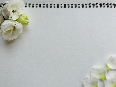 白いトルコキキョウとノート スケッチブック,トルコキキョウ,白い花の写真素材