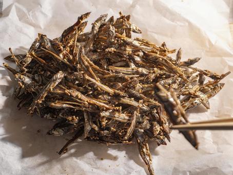 香ばしく輝く ― 手作りの田作り 田作り,ごまめ,おせちの写真素材