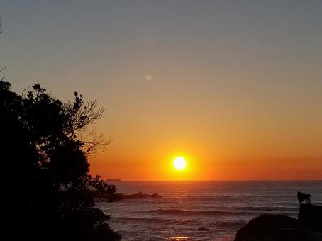 朝日と地平線 朝日と地平線 太陽,海辺,朝焼けの写真素材