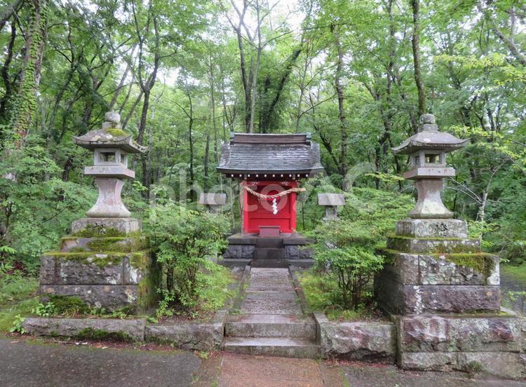 山中湖近くの諏訪神社 諏訪神社,山中湖,風景の写真素材