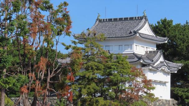 名古屋城　本丸　西南隅櫓 名古屋城,尾張徳川家,御三家の写真素材